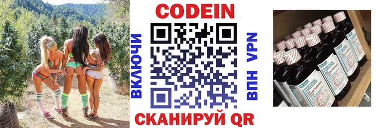 Купить где  Новосокольники  Кодеин Purple Drank 