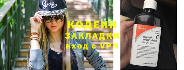 индика Елабуга