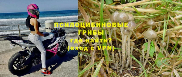 индика Елабуга