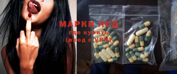 индика Елабуга