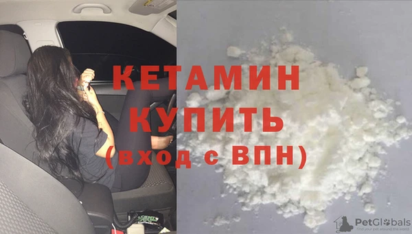 индика Елабуга