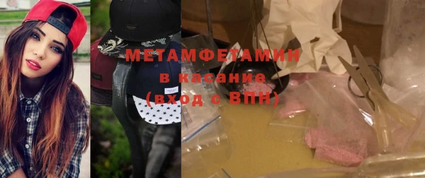 индика Елабуга