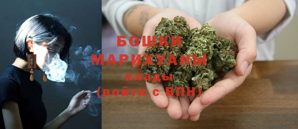 трава Елизово