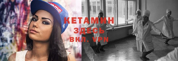 индика Елабуга