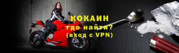 индика Елабуга