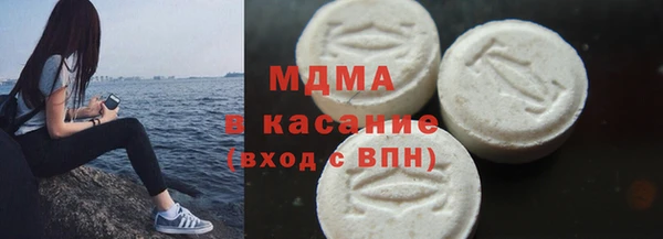 индика Елабуга