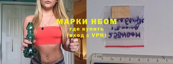индика Елабуга