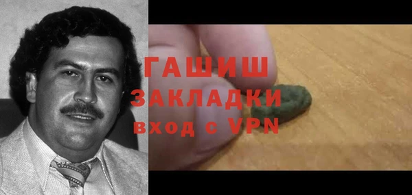 индика Елабуга