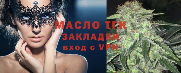 индика Елабуга