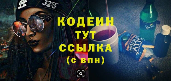 индика Елабуга