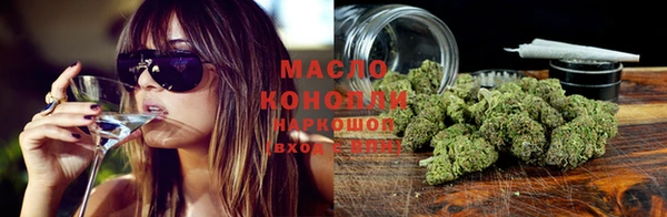 индика Елабуга