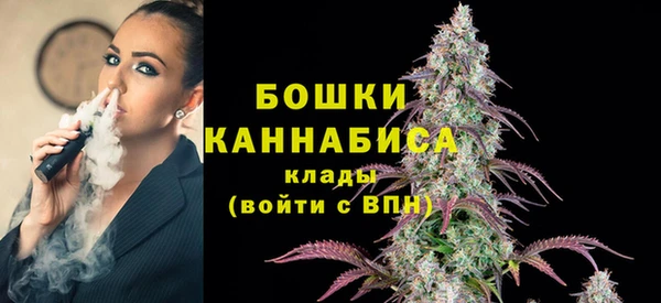 индика Елабуга