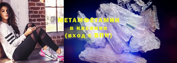 индика Елабуга