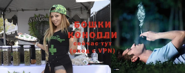 трава Елизово