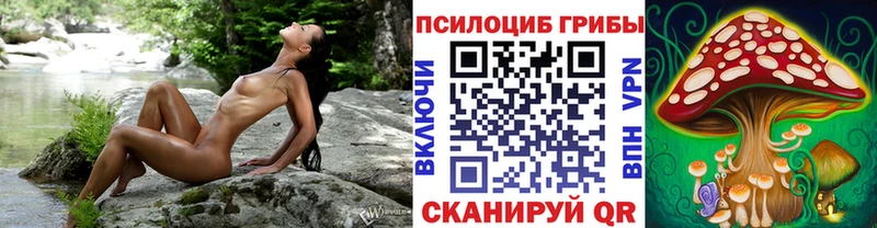 Псилоцибиновые грибы ЛСД Купить закладки Новосокольники